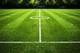 申花客场对,阵川崎,关键球员缺,雪缘园足球比分网,足球赛事比分,足球比赛数据,足球赛事资讯,足球赛事平台