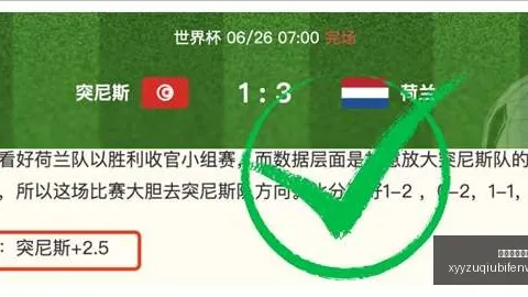 墨西哥与厄瓜多尔赛事因暴雨延期，开球时间调整至晚间10点